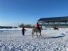 В селе Натальино Саратовской области газифицирован конный клуб