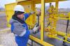 В поселке Новопушкинское Саратовской области построен газопровод к земельным участкам многодетных семей